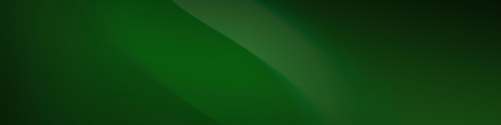 shannons green background banner